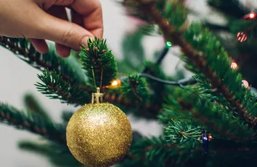 Main accrochant une boule dorée sur un sapin
