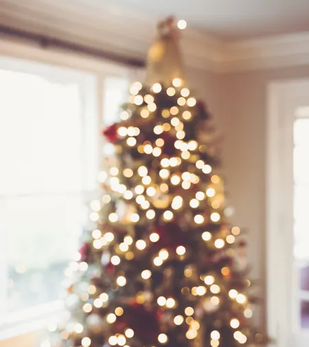 Sapin épicéa illuminé dans un salon