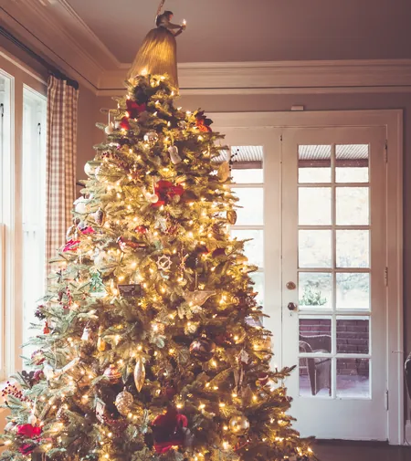 Sapin Nordmann décoré et illuminé dans un salon